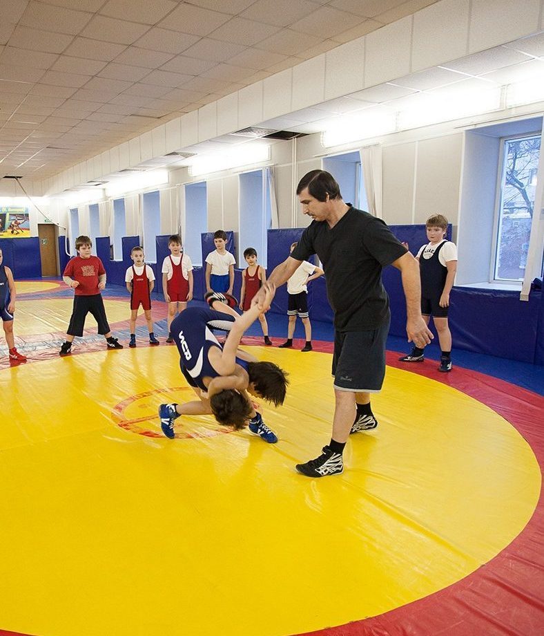 Ковры для единоборств